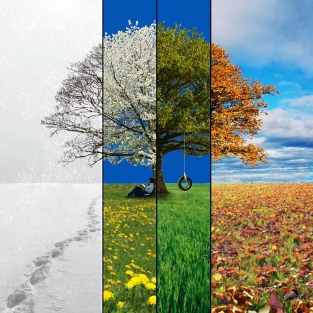 Четыре времени года