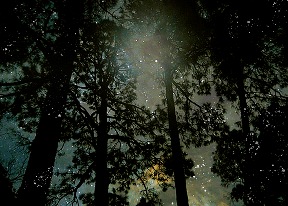 Сердце не может жить без любви. Глава 4