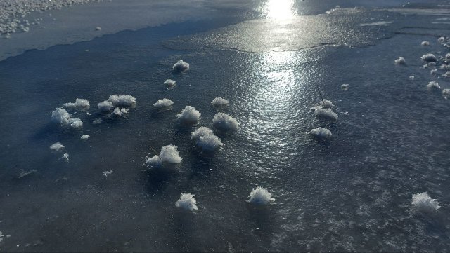 Февральская филология