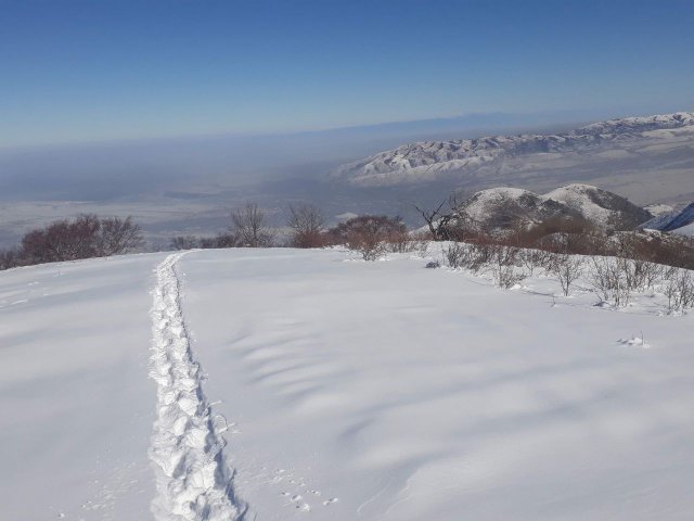 Следы