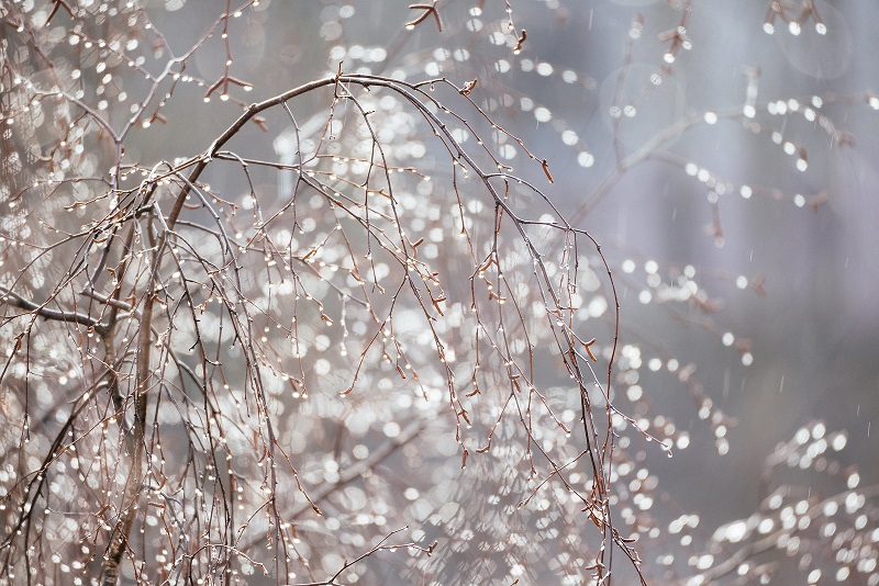 Апрель врывался звонко, как всегда