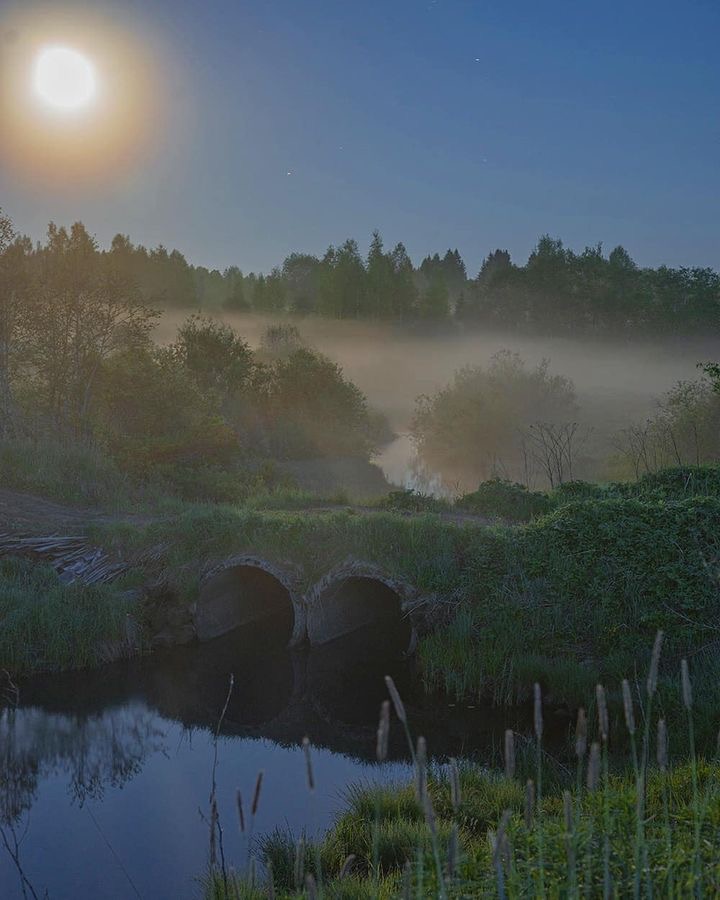 Заброшенный рай