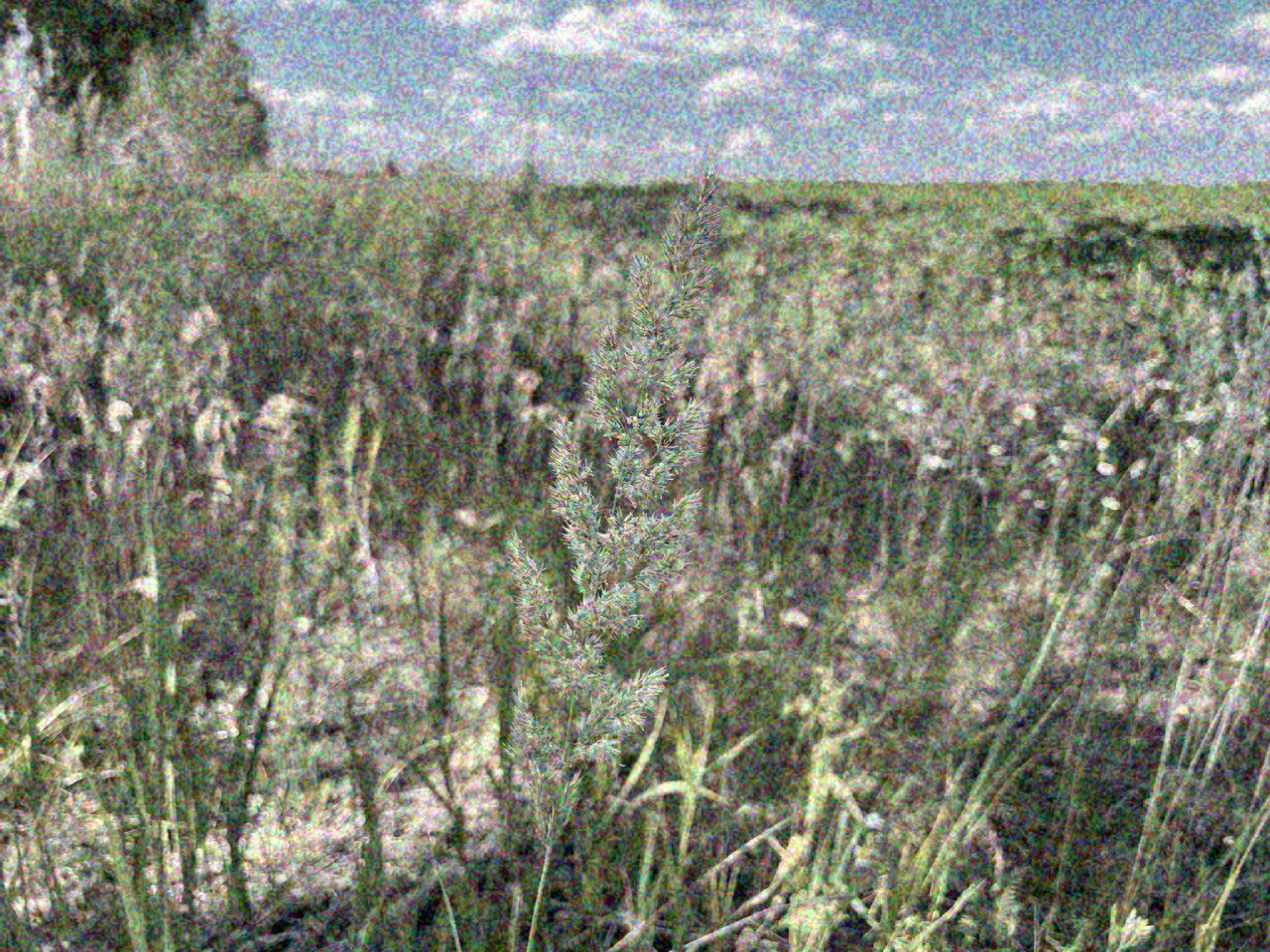 Поток мыслей