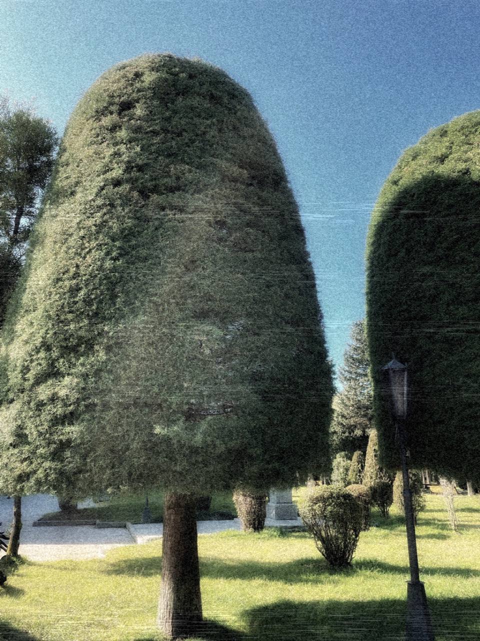 Вечер вторника