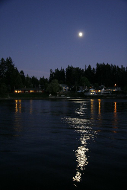 Обмелел в речушке плёс