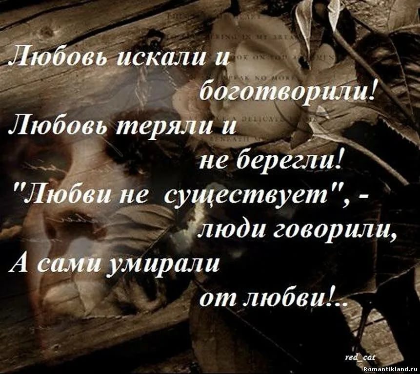 Картинки Статусы Про Смысл В Любви