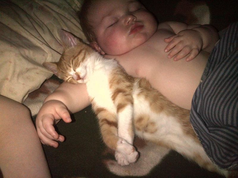 Мальчик Миша любит кашу