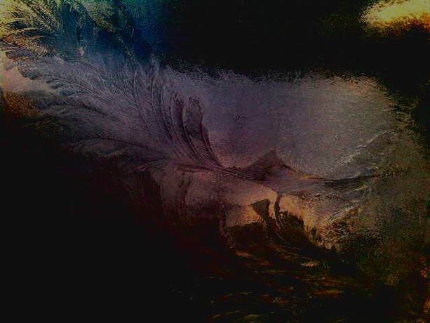 Ночная птица 1 вариант