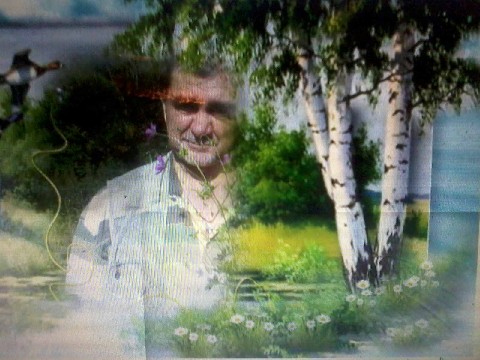 Берёзовое пьянство