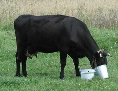 Сил - ну нету ни каких