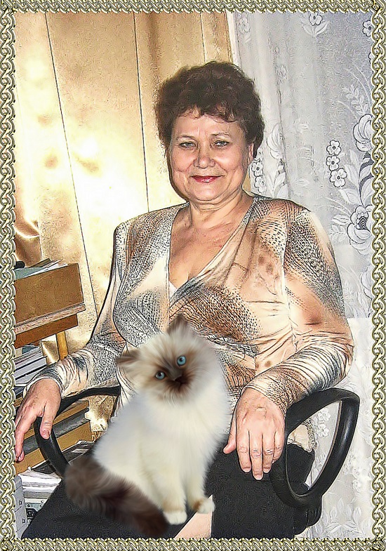 Кошке Дашке