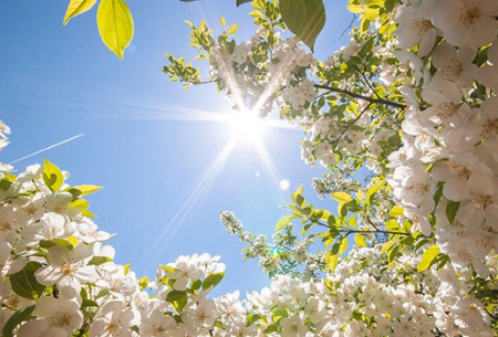 В осени закончив май