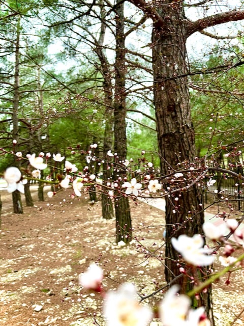 Родная, тебя не хватает