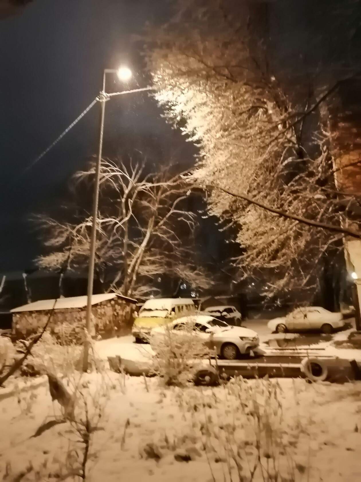 Вот снег летит и кружит