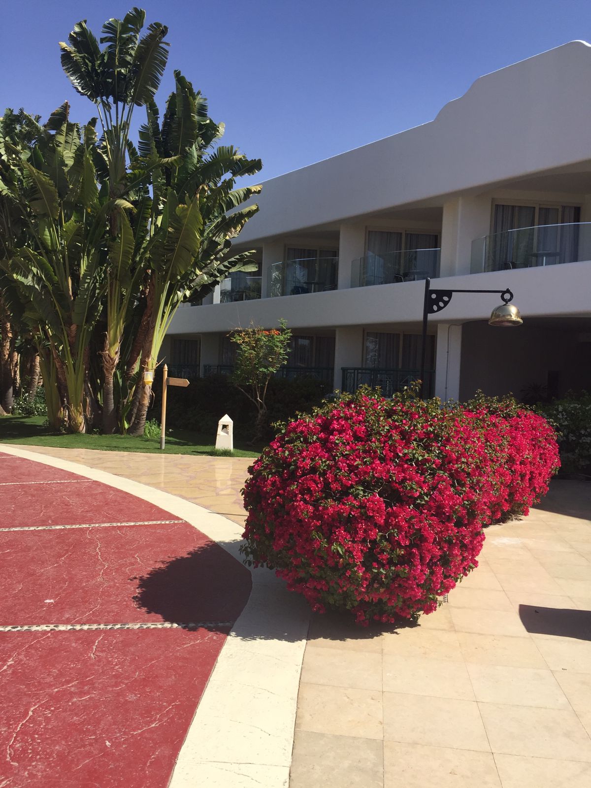 Аромат цветов