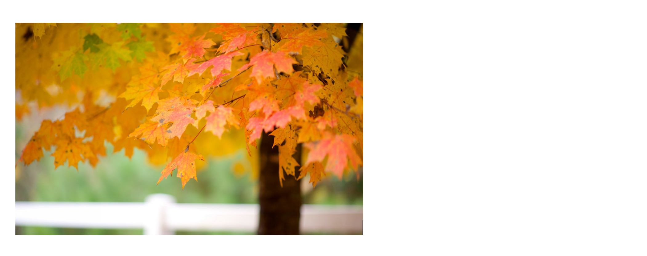 Временное и вечное