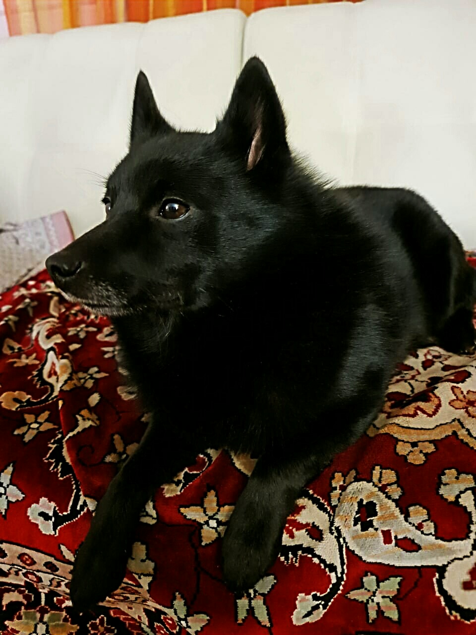 Два градуса...