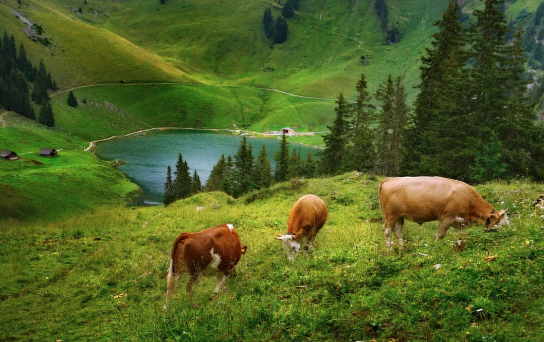 Швейцария