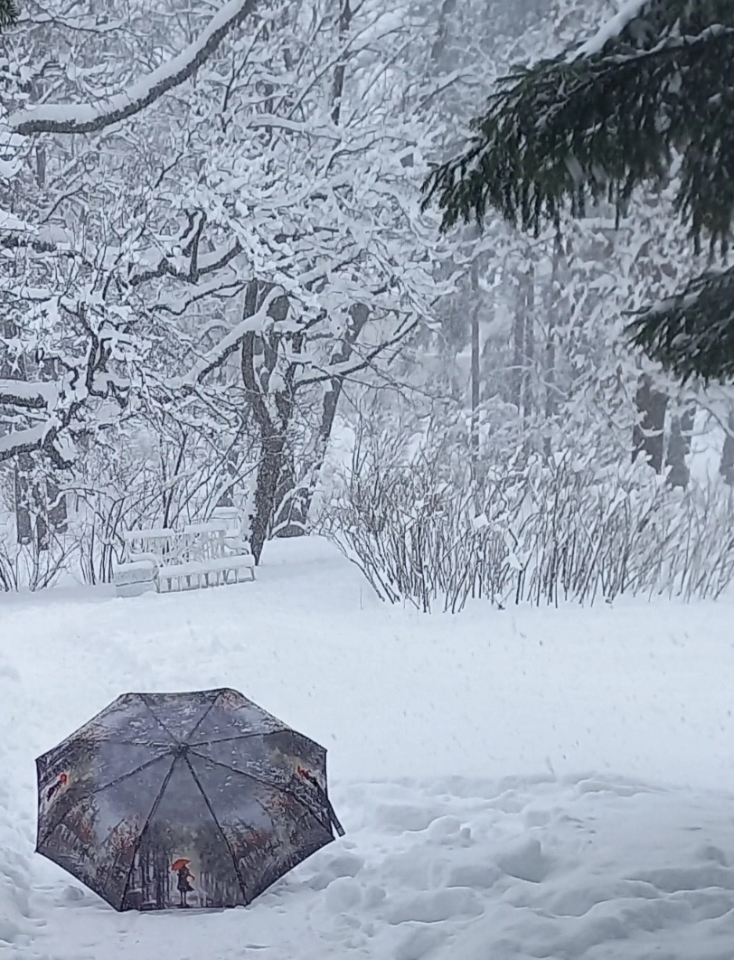Конец марта. Екатерининский парк. Царское Село