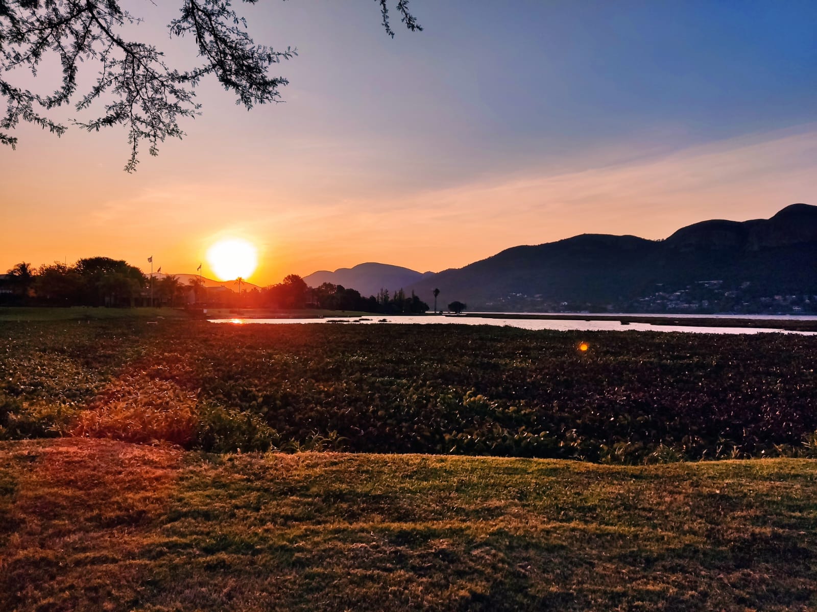 Пряничная поэзия