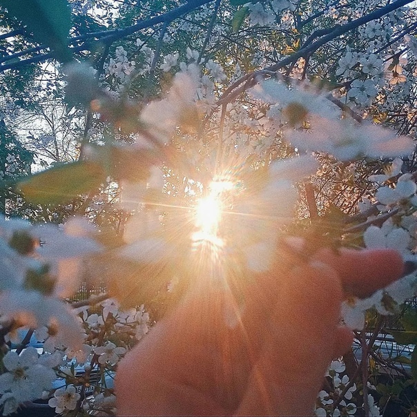 Зной песок особенно