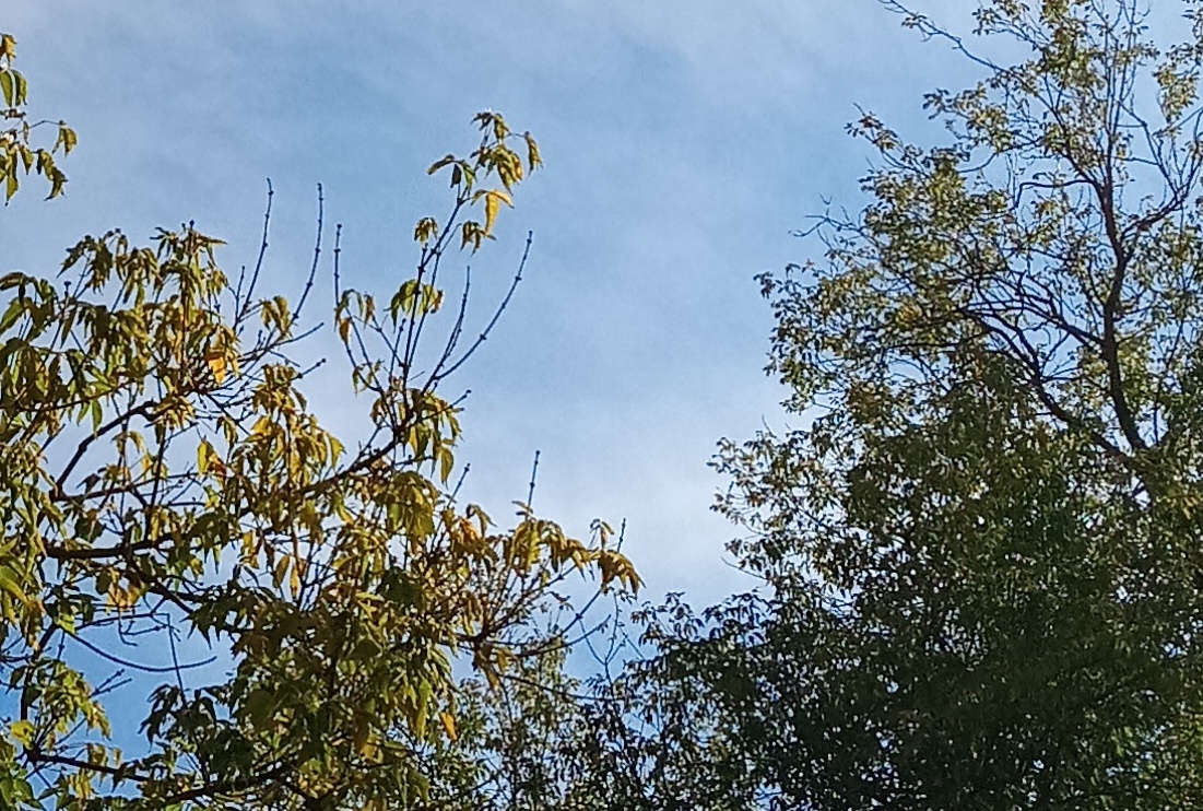 Хрустальное