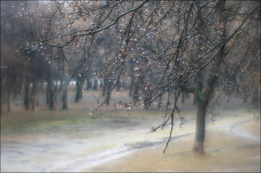Дождливый март. Весенний дождь фото. Погодные явления для детей осенний дождь.