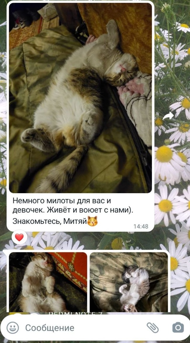 Пишите письма