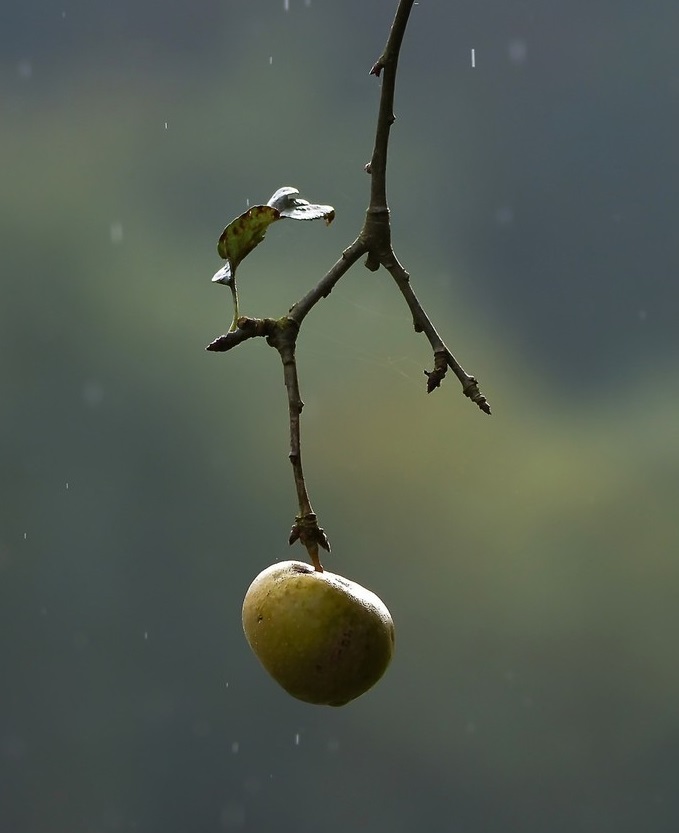 Если помочь упасть?