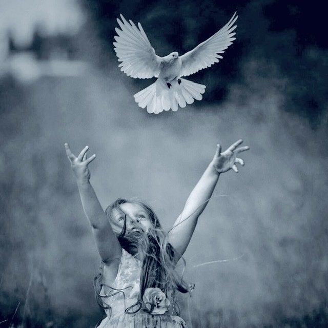 Душа, прошу, не разучись Любить!