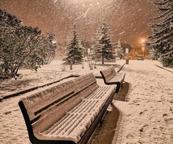 Снежно-морозное утро