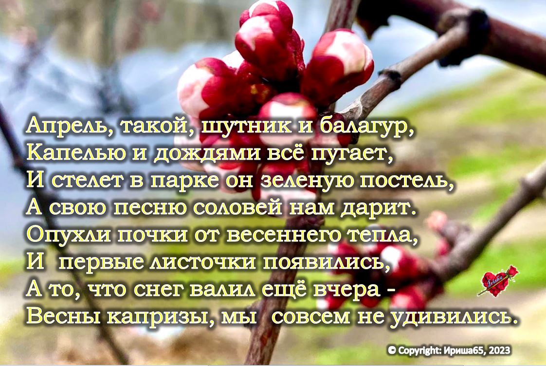 Шишка набухла дарит немного тепла. Шишка села. Шишка набухла дарит немного тепла. Согревайте друг друга. Шиша мем.