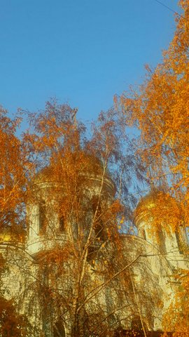 Неопалимая купина