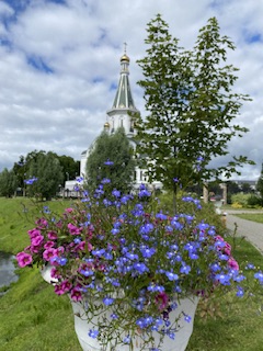 Как пчелку вкус цветка манит