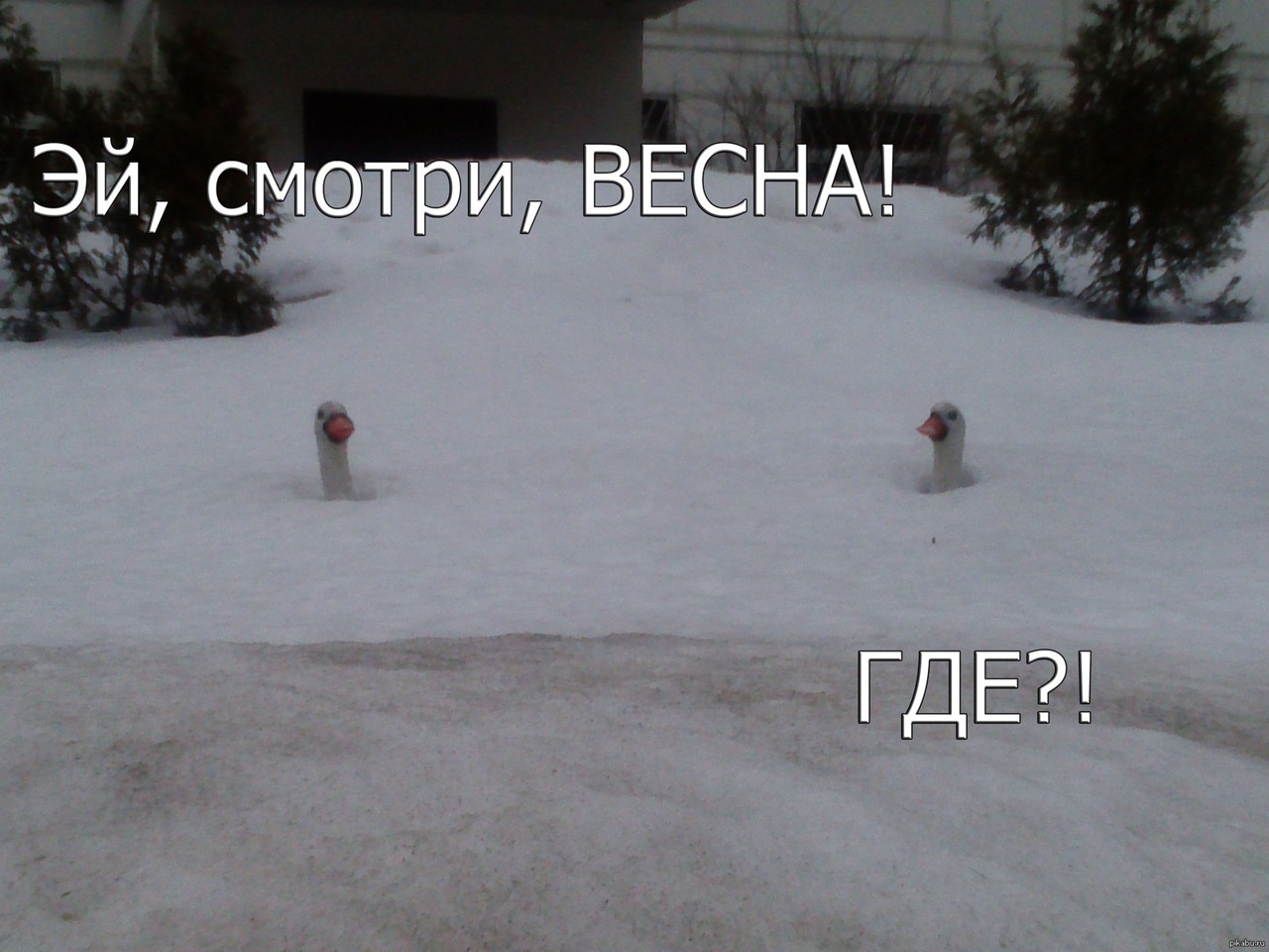 Загадки про снег