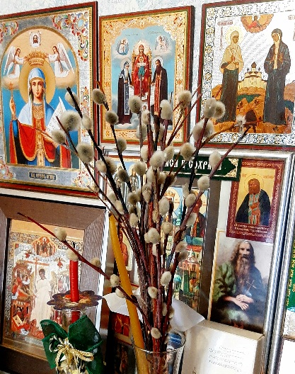 Веточку от вербы из храма принеси