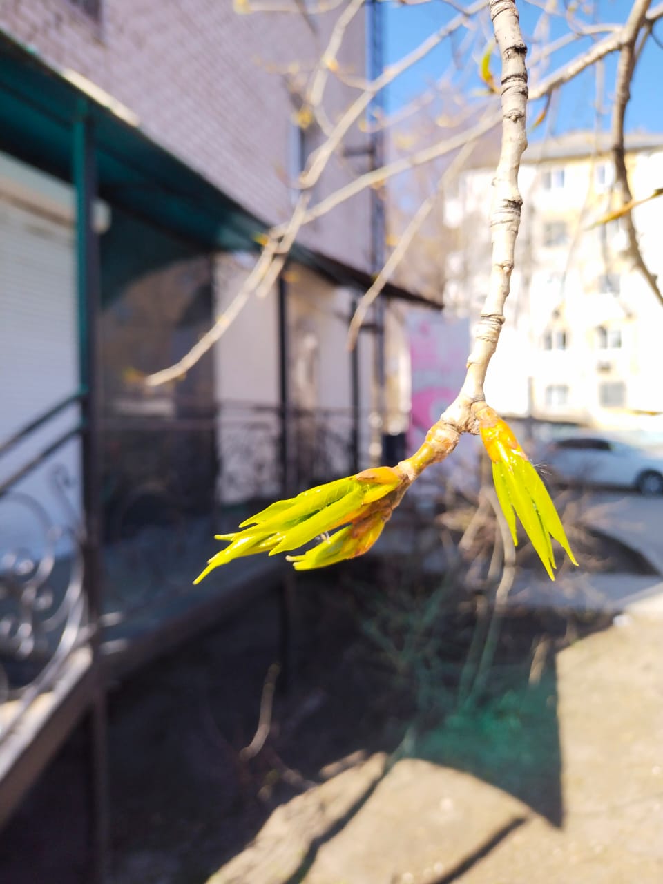 Мой апрель улыбается мне