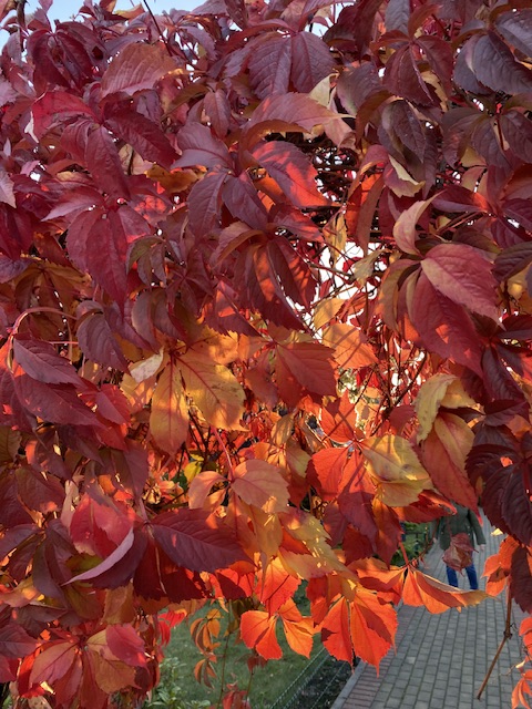 Осень - маленький причал