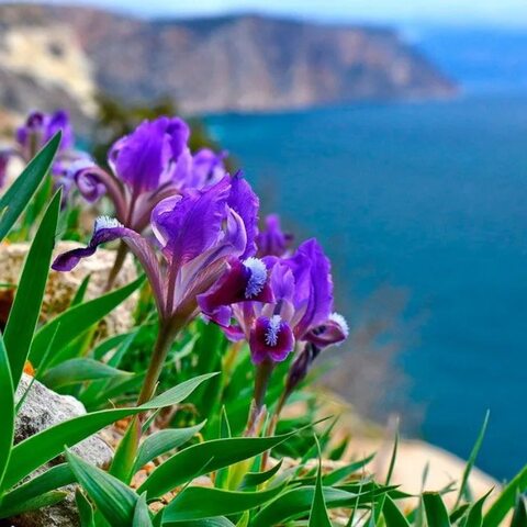 Есть у моря своя красота...