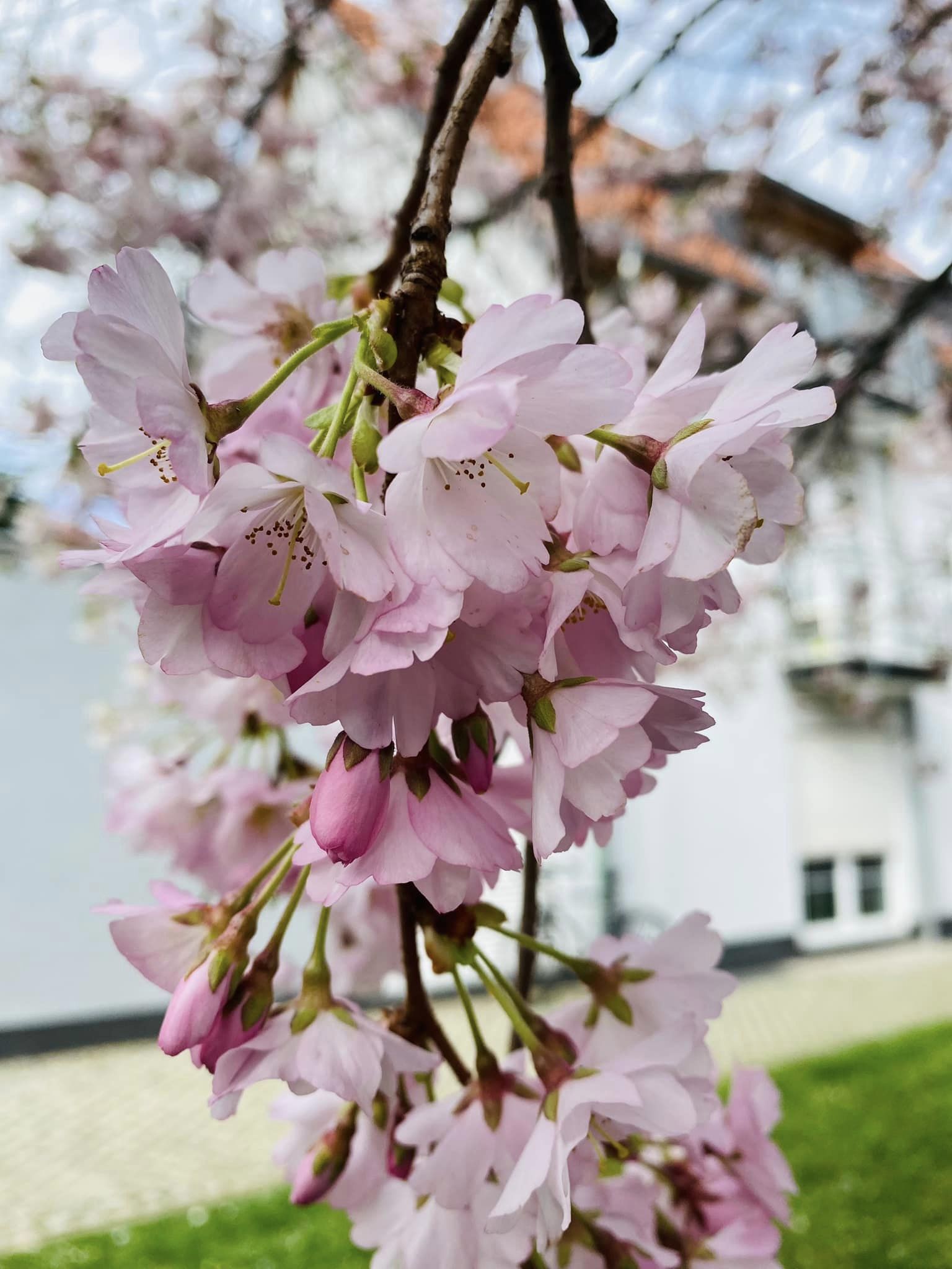 Я слегка, как весна