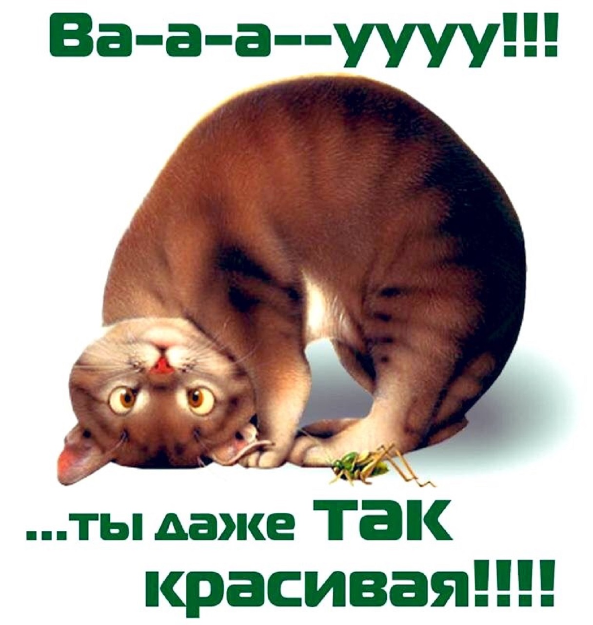 Комплименты девушке