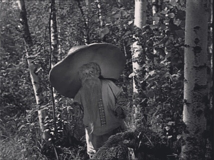 Лесовик. Современная сказка. 2 часть