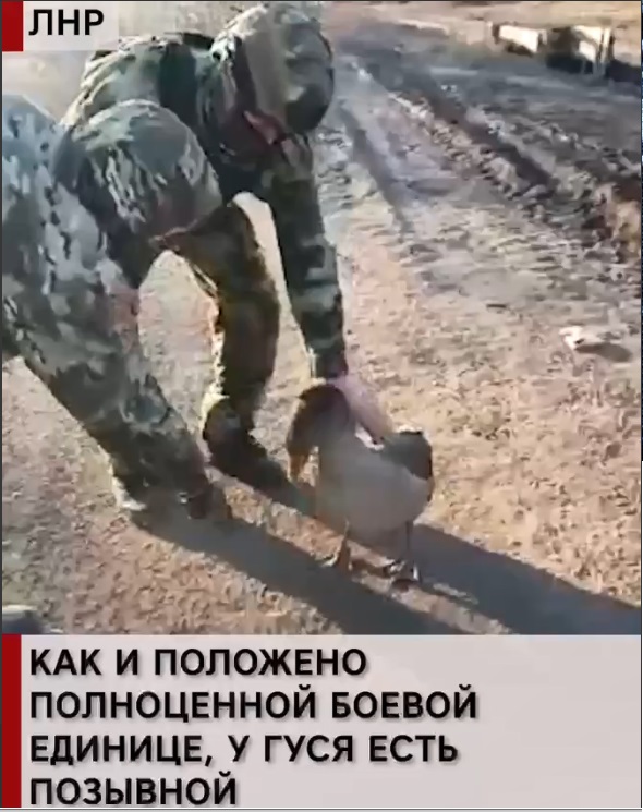Позывной ДРОН