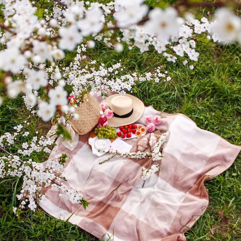 Весна - диктатор и новатор