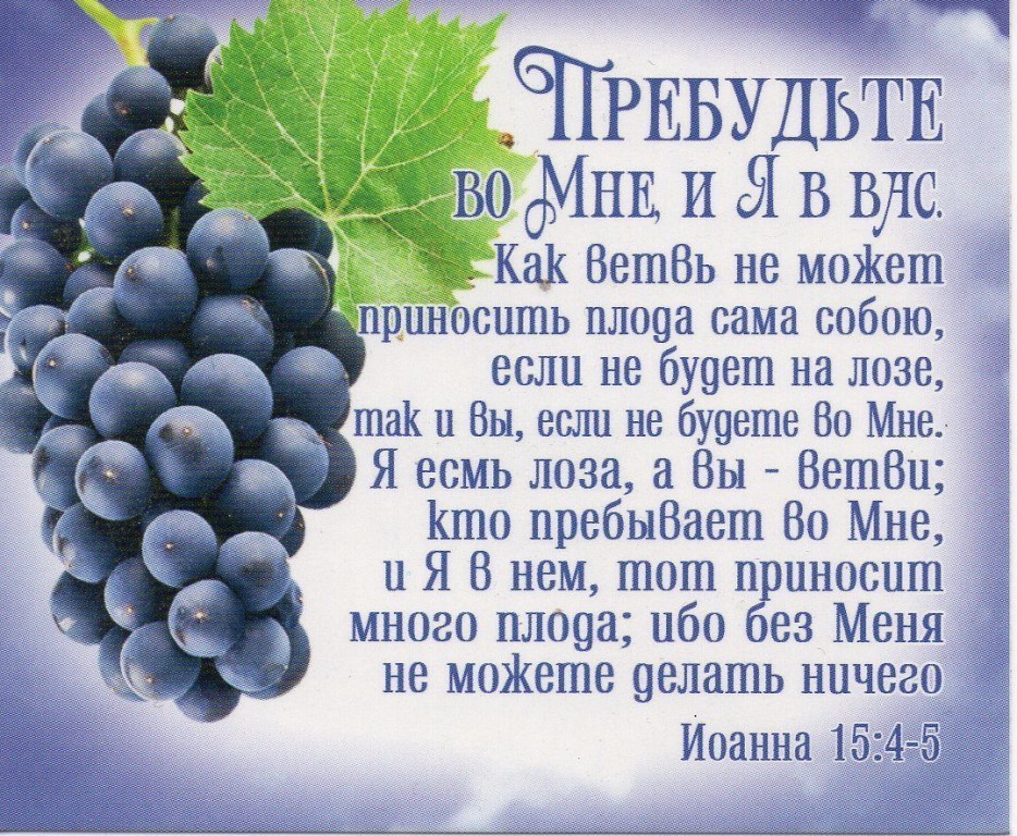 плоды духа в библии. я есмь истинная виноградная лоза. я есмь истинная виноградная лоза, а отец мой - виноградарь. дурной пример заразителен смешные высказывания. плоды афоризмы.