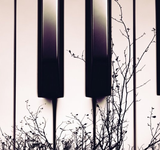 Чёрные клавиши. Белые клавиши