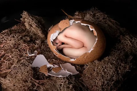 Спрятаться