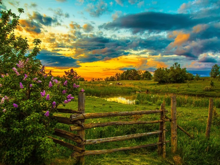 Я растворяюсь в красоте