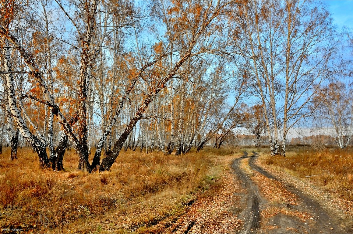 Поздняя Осень Фотографии
