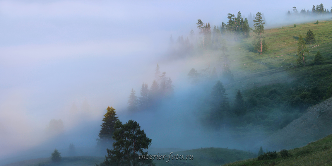 За туманом истерзанных снов...
